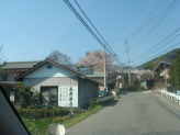 38338bytes JPEG